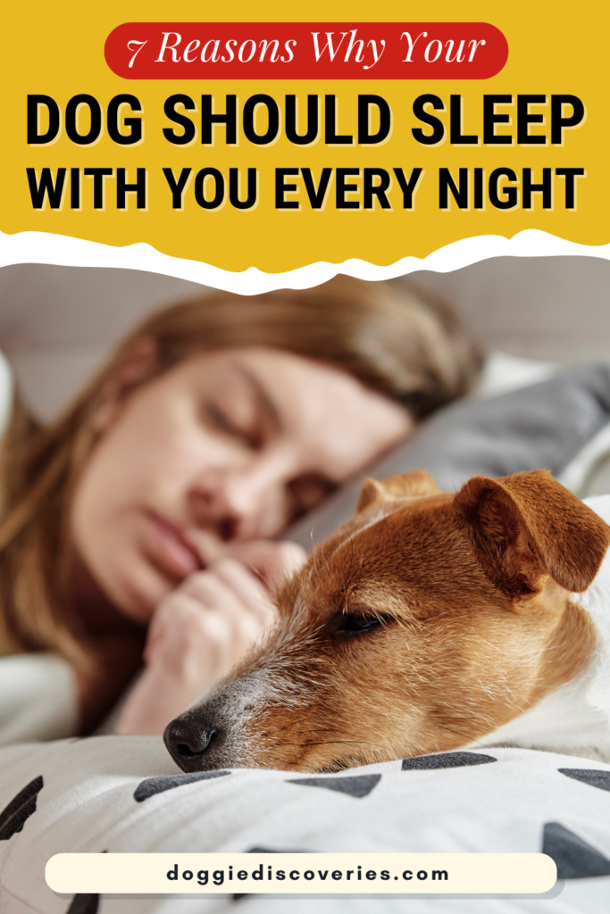 7 Reasons Why Your Dog Should Sleep With You Every Night